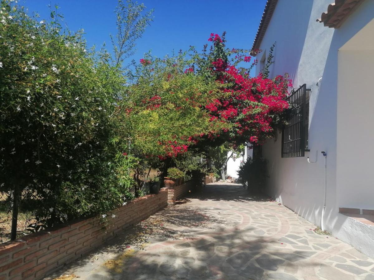 Casa Luis Βίλα Viñuela Εξωτερικό φωτογραφία
